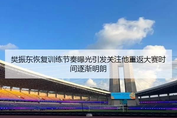 樊振东恢复训练节奏曝光引发关注他重返大赛时间逐渐明朗